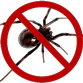 exterminateur d'insectes peut éliminer les araignées