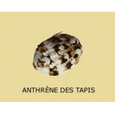 Indices de présence d'anthrènes de tapis