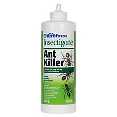 insecticides domestiques pour fourmis charpentière